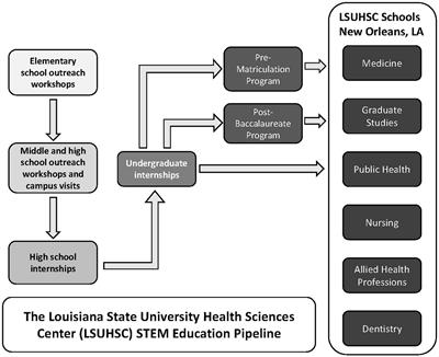 How can academic health science centers help to increase diversity in the STEM professions?